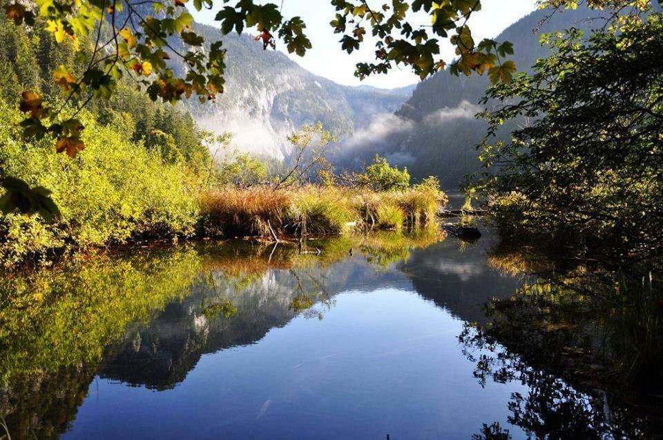 Greenheart Aussee Obersdorf Экстерьер фото